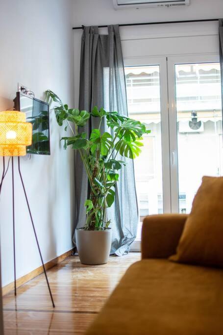 Botanical Apartment Athens Exterior photo
